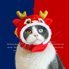 a cat wearing a red and white hat with gold horns