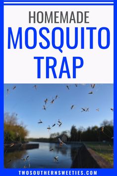 mosquito trap with text overlay reading homemade mosquito trap