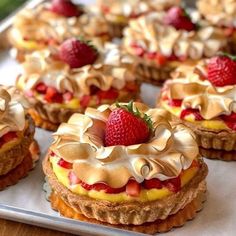 several desserts are arranged on a tray ready to be eaten