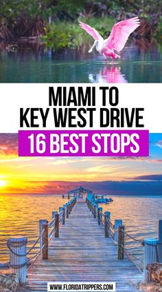 Miami to Key West Drive (16 Best Stops) Key West Road Trip, West Road Trip, Florida Keys Travel, Miami Key West, Florida Vacation Spots, Florida Travel Destinations, Key West Beaches