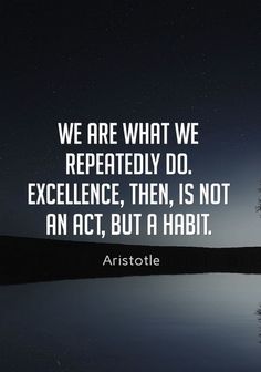 the quote we are what we repeatedly do excellence, then, is not an act, but a habit