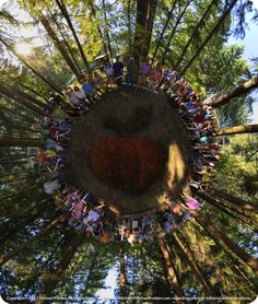 a group of people standing in the middle of a forest with a heart on it