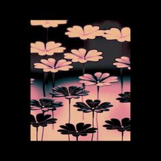 an image of flowers in the dark with pink and black colors, on a black background