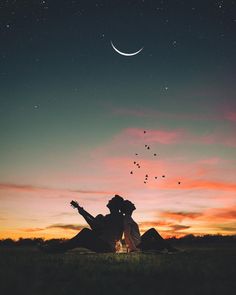 two people sitting in the grass under a night sky with birds flying overhead and one person holding a guitar