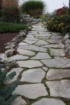 a stone path in the middle of a garden