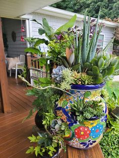 a large potted plant sitting on top of a wooden table in front of a house