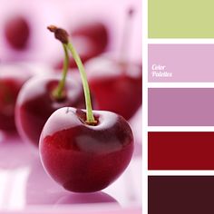 some red cherries are sitting on a plate with color swatches in the background