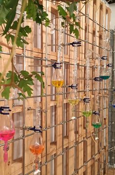 several wine glasses hanging on a wooden wall with plants in the foreground and behind them