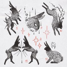 Tattoo • Instagram Tattoo Dublin, Rabbit Tattoos, Putao, Tattoo Illustration, Rabbit Art, Sketch Inspiration, Animal Sketches, June 15, Ink Illustrations