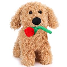 a stuffed dog with a flower in its mouth