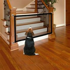 a dog sitting on its hind legs looking up at the stair railing and banister