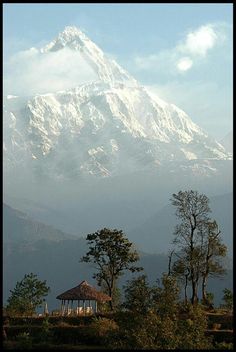 a large snow covered mountain in the distance with trees around it and a gazebo