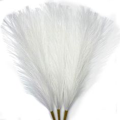 white feathers are arranged on top of each other in the shape of a fan with gold stems