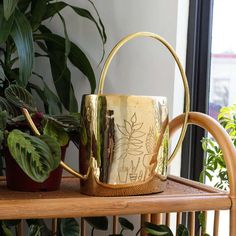 a potted plant sitting on top of a wooden shelf next to a metal watering can