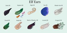 an image of different types of ears