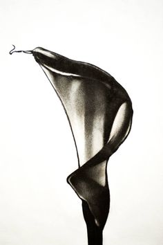 an abstract black and white drawing of a woman's dress blowing in the wind