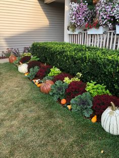 a row of pumpkins sitting in the middle of a garden