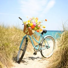 a blue bicycle with flowers in the basket parked on a sandy path by the beach