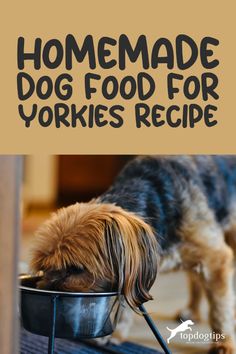 a dog eating out of a bowl with the title homemade dog food for yorkies recipe