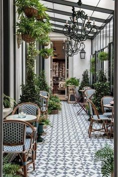 an outdoor dining area with chairs, tables and potted plants