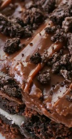 a close up of a chocolate cake on a plate