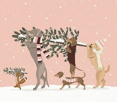 three dogs are carrying a christmas tree in the snow while another dog is holding a sled