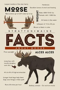 an info sheet describing the different types of moose's and how to use them