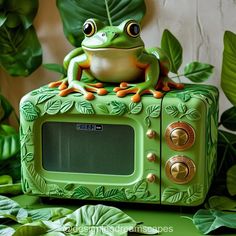 a frog sitting on top of a green microwave