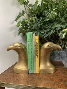 two books sit on top of each other in front of a potted green plant