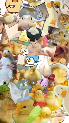 a collage of many different types of stuffed animals and birds in various poses, with one person holding a baby duck