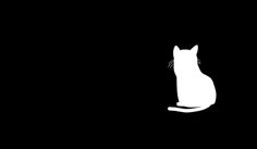 a white cat sitting on top of a black floor next to a light bulb in the dark