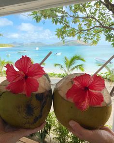 two coconuts with red flowers on them are held up in front of the ocean