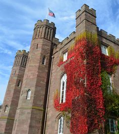 a tall brick building with red vines growing on it's side and a flag flying in the background