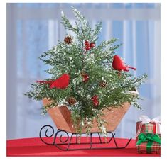 a small christmas tree in a wooden sleigh with red birds and pine cones