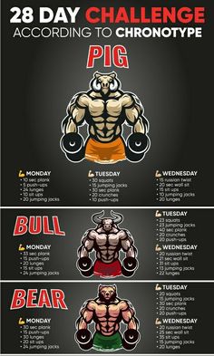 Workout challenge Easy Daily Workouts, Workout Plan For Men, Gym Workout Planner, Desain Buklet, Gym Workout Chart, Workout Training Programs