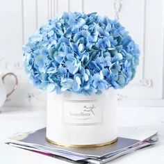 a blue hydrangea in a white vase on top of a stack of papers