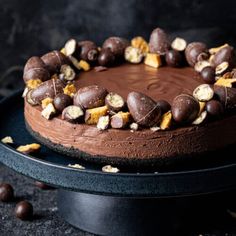 a chocolate cake on a black plate with nuts around it