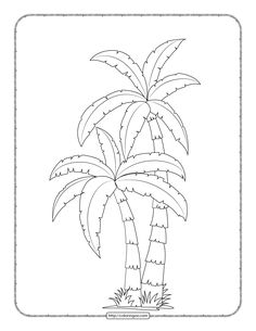 a drawing of a palm tree in black and white with the outlines on it