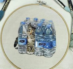 a cat is sitting in front of some water bottles on a hoop with yarn and thread