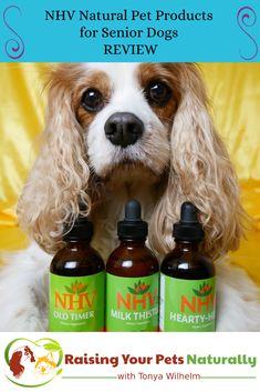 a dog with three bottles of niv natural pet products on it's back