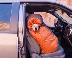 a dog is sitting in the back seat of a car wearing an orange sleeping bag