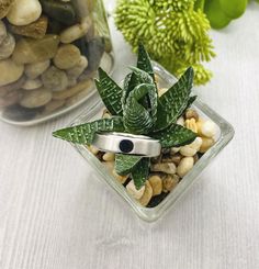 a glass container filled with rocks and plants