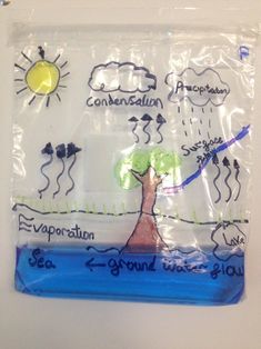 a plastic bag with writing on it and trees in the water, surrounded by clouds