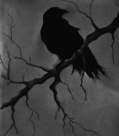 a black bird sitting on top of a tree branch in the dark night with no leaves