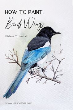 a bird sitting on top of a tree branch with the words how to paint birds wings