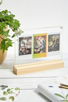 a potted plant sitting on top of a wooden table next to two pictures in a glass frame