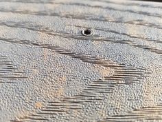 a close up view of the surface of a wooden table with small holes in it