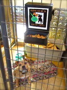 a dog in a cage with food and a sign that says please ask me to for my treats