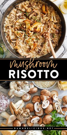 Nothing beats homemade mushroom risotto! Rich and creamy with an assortment of garlicky, buttery mushrooms, this easy risotto recipe is a family-friendly dinner. It's also a side dish to impress!