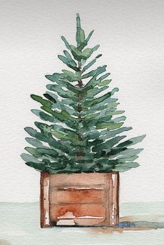 a watercolor painting of a small pine tree in a wooden box on the ground